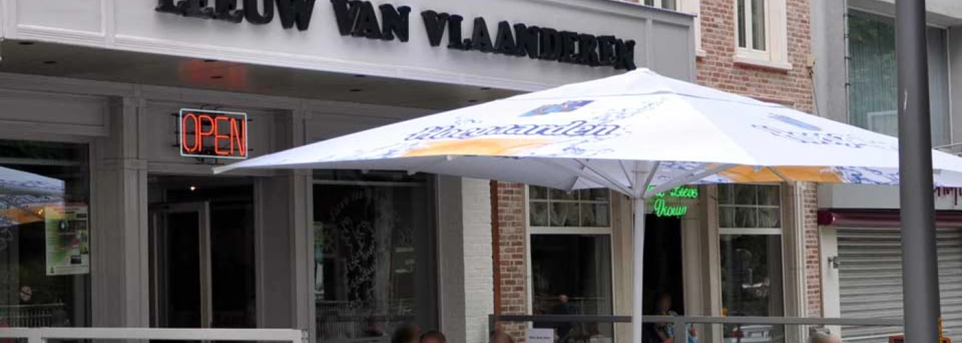 Foto van De Leeuw van Vlaanderen