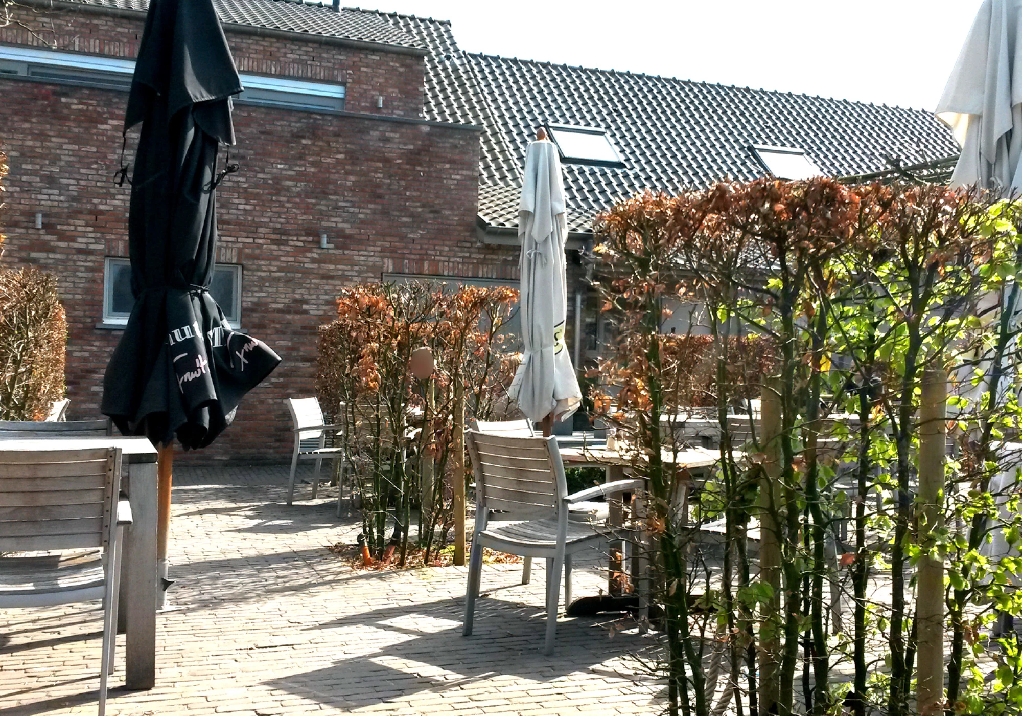 Foto van De Wingerd