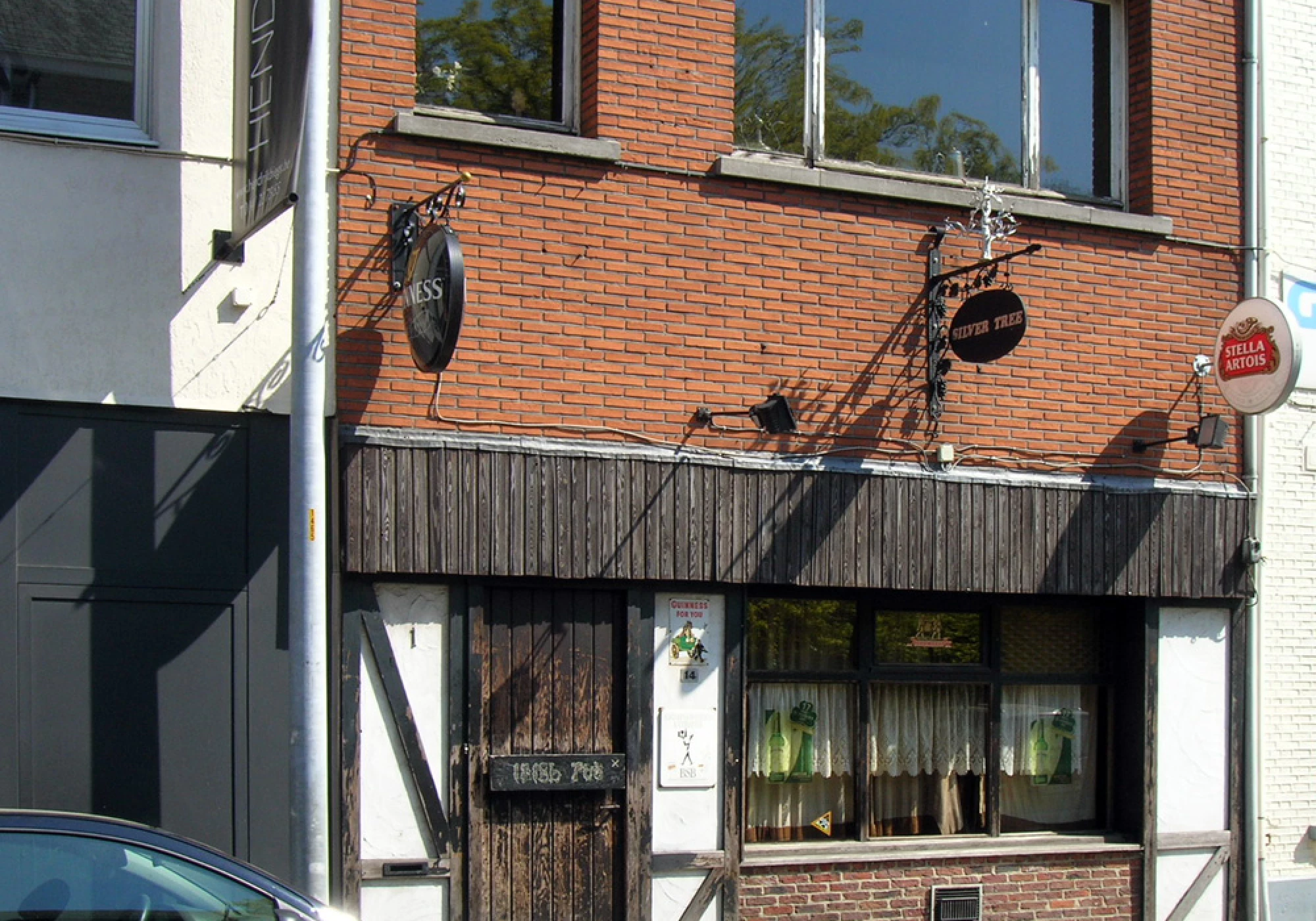 Foto van Silver Tree