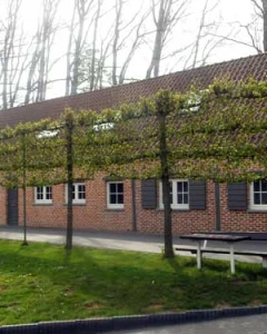 Foto van Tc de Bergen 2