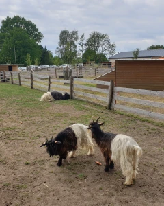 Foto van Bollekeshoeve 3