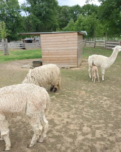 Foto van Bollekeshoeve 2