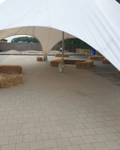 Foto van IJssloeberke 7