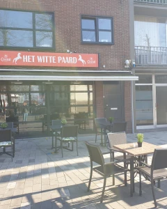 Foto van Het witte paard