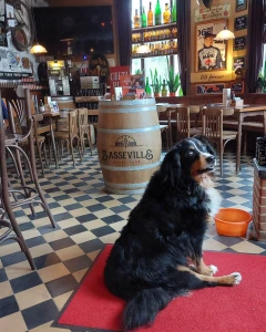 Foto van Bierhuis Basseville 7