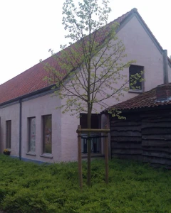 Foto van Boshuis Averegten 3