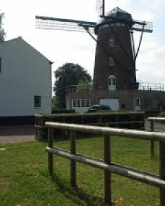 Foto van Brasserie De Molen 6
