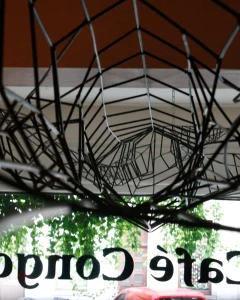 Foto van Café Congo 3