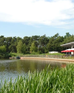 Foto van Campinastrand 4