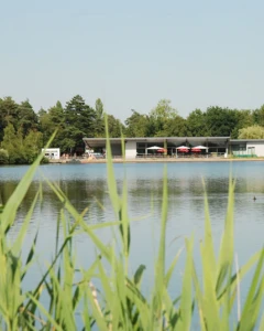 Foto van Campinastrand 5