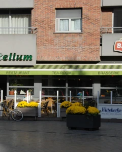 Foto van Castellum