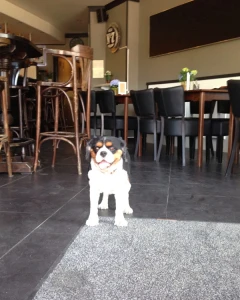 Foto van Daniel's 2