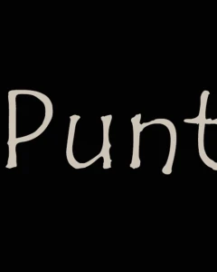 Foto van Punt 