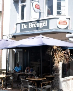 Foto van De Breugel