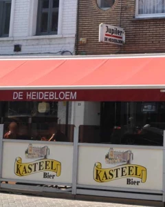 Foto van Heidebloem