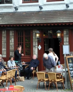 Foto van De Minnestreel