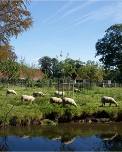 Foto van De Schranshoeve 5