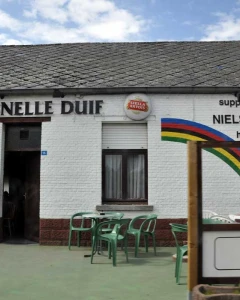 Foto van De Snelle Duif