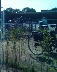 Foto van De Waterskikloon 2