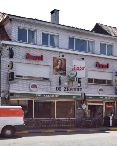 Foto van De Zeeduif
