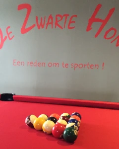Foto van De Zwarte Hond 4