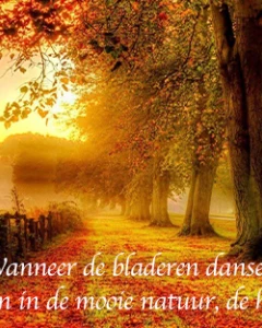 Foto van De Watermolen