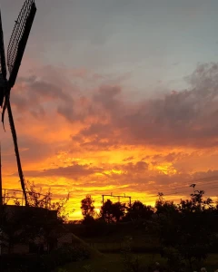 Foto van Brasserie De Molen 7