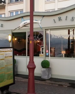 Foto van Iris