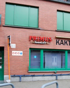 Foto van Kaktus