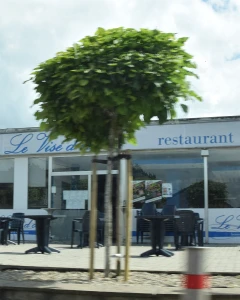 Foto van Le Visé d'oie