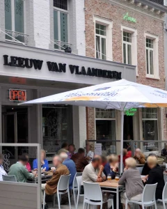Foto van De Leeuw van Vlaanderen