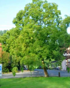 Foto van Pallieterhoeve