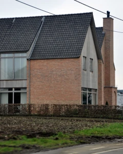 Foto van Pastinaak