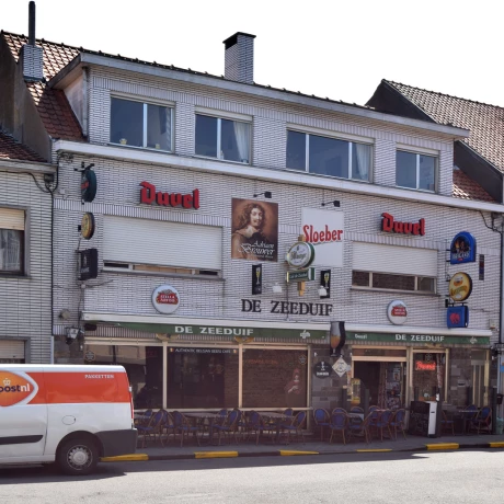 Foto van De Zeeduif