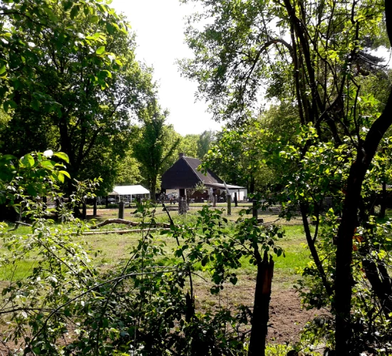 Foto van De Schuur