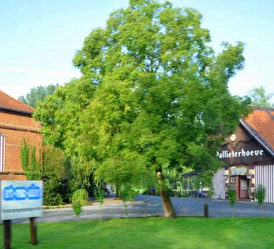 Foto van Pallieterhoeve