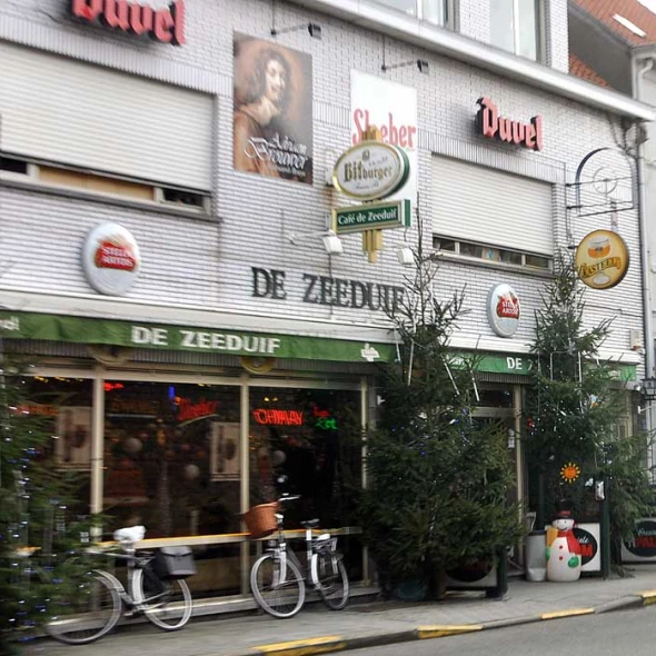 Foto van De Zeeduif