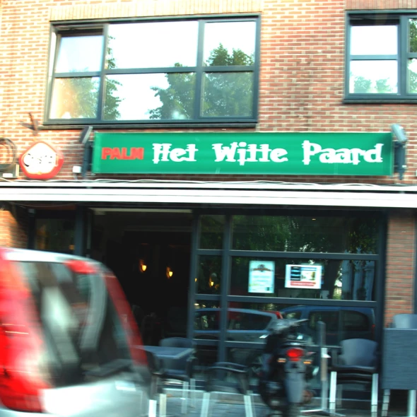 Foto van Het witte paard