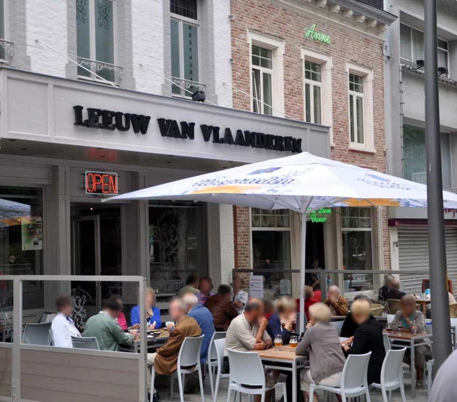 Foto van De Leeuw van Vlaanderen