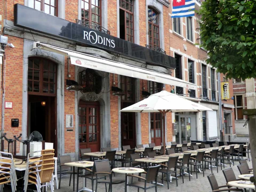Foto van Rodins
