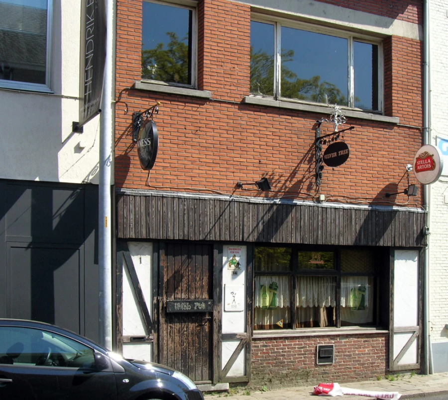Foto van Silver Tree