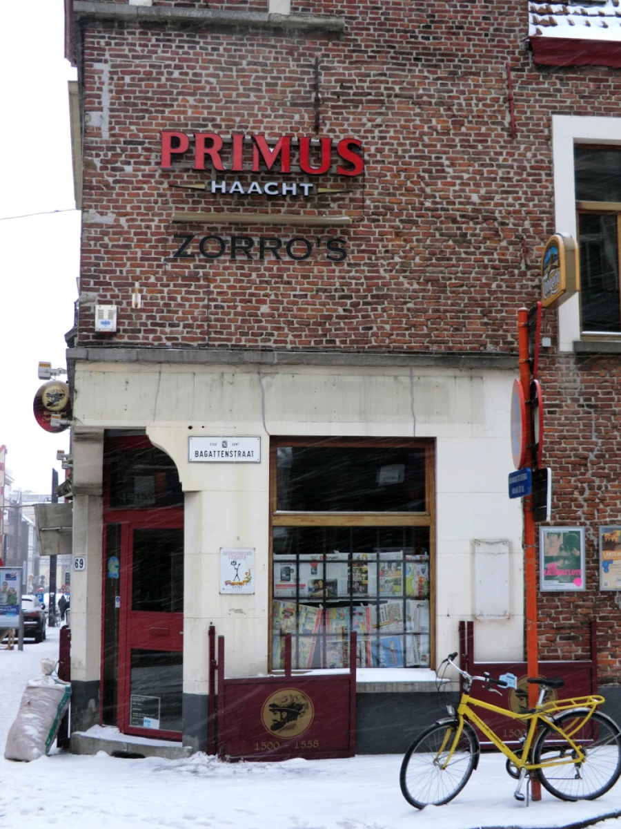Foto van Zorro's